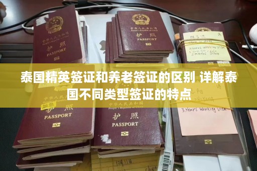 泰国精英签证和养老签证的区别 详解泰国不同类型签证的特点