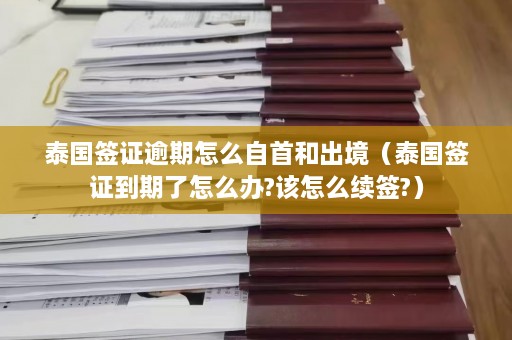 泰国签证逾期怎么自首和出境（泰国签证到期了怎么办?该怎么续签?）