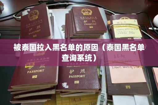 被泰国拉入黑名单的原因（泰国黑名单查询系统）