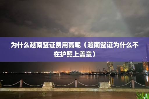 为什么越南签证费用高呢（越南签证为什么不在护照上盖章）