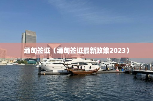 缅甸签证（缅甸签证最新政策2023）