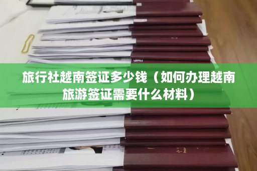 旅行社越南签证多少钱（如何办理越南旅游签证需要什么材料）  第1张