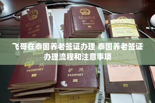 飞哥在泰国养老签证办理 泰国养老签证办理流程和注意事项  第1张