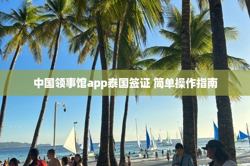 中国领事馆app泰国签证 简单操作指南