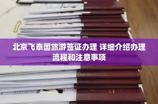 北京飞泰国旅游签证办理 详细介绍办理流程和注意事项  第1张