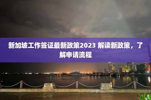 新加坡工作签证最新政策2023 解读新政策，了解申请流程