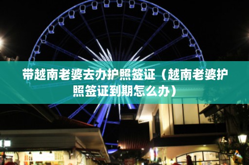 带越南老婆去办护照签证（越南老婆护照签证到期怎么办）  第1张