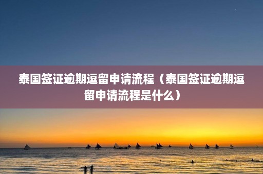 泰国签证逾期逗留申请流程（泰国签证逾期逗留申请流程是什么）  第1张