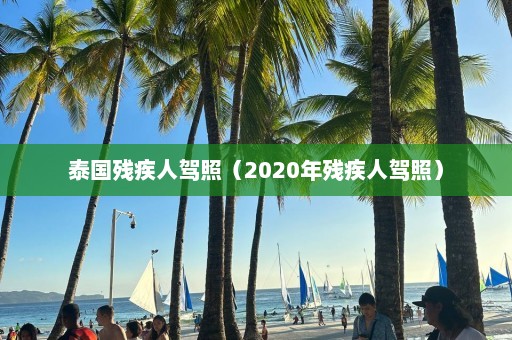 泰国残疾人驾照（2020年残疾人驾照）