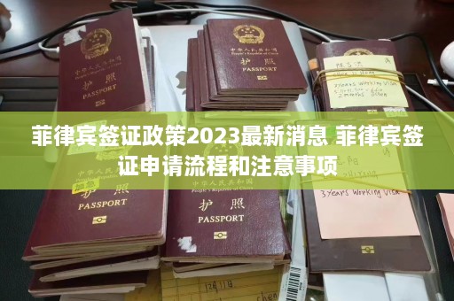 菲律宾签证政策2023最新消息 菲律宾签证申请流程和注意事项  第1张