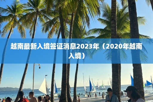 越南最新入境签证消息2023年（2020年越南入境）