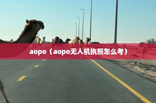 aopo（aopo无人机执照怎么考）