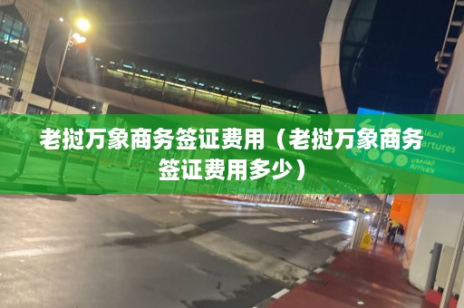 老挝万象商务签证费用（老挝万象商务签证费用多少）  第1张