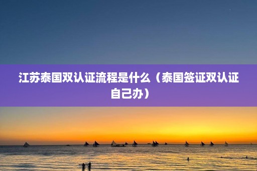 江苏泰国双认证流程是什么（泰国签证双认证自己办）