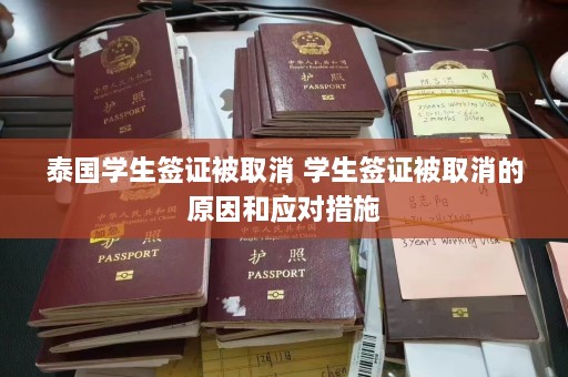 泰国学生签证被取消 学生签证被取消的原因和应对措施  第1张