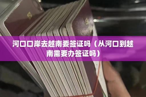 河口口岸去越南要签证吗（从河口到越南需要办签证吗）  第1张