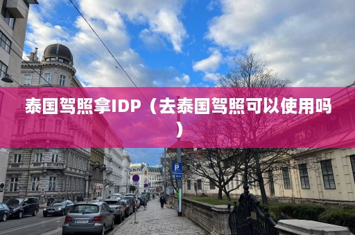 泰国驾照拿IDP（去泰国驾照可以使用吗）