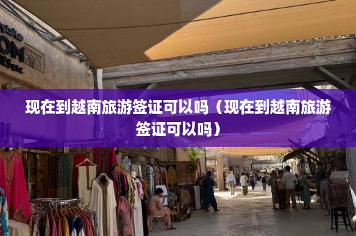 现在到越南旅游签证可以吗（现在到越南旅游签证可以吗）