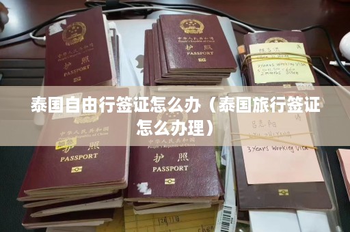 泰国自由行签证怎么办（泰国旅行签证怎么办理）  第1张