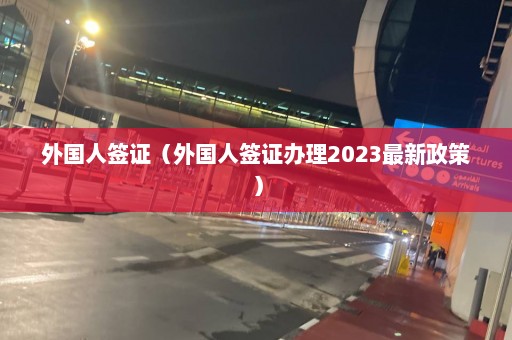 外国人签证（外国人签证办理2023最新政策）