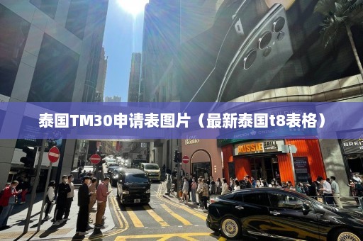 泰国TM30申请表图片（最新泰国t8表格）