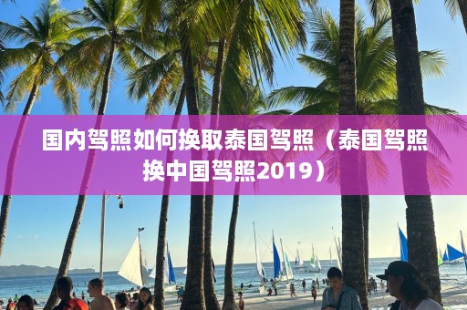 国内驾照如何换取泰国驾照（泰国驾照换中国驾照2019）  第1张