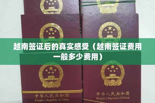 越南签证后的真实感受（越南签证费用一般多少费用）  第1张