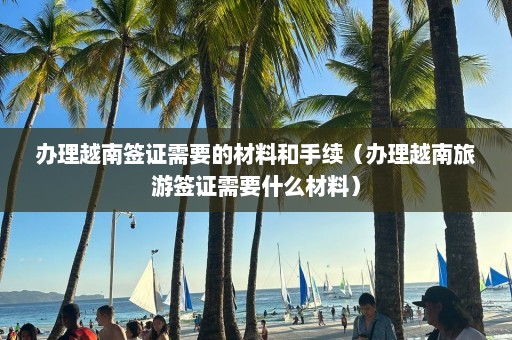 办理越南签证需要的材料和手续（办理越南旅游签证需要什么材料）