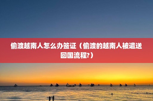 偷渡越南人怎么办签证（偷渡的越南人被遣送回国流程?）