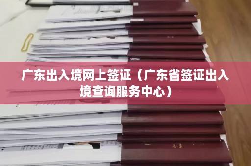 广东出入境网上签证（广东省签证出入境查询服务中心）  第1张