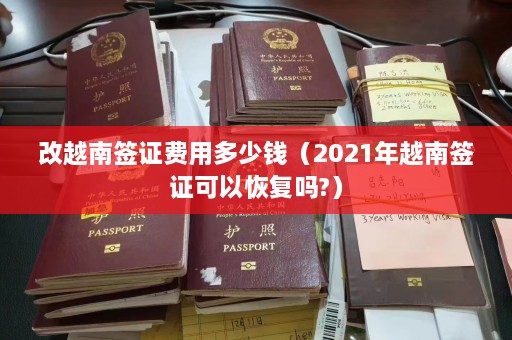 改越南签证费用多少钱（2021年越南签证可以恢复吗?）