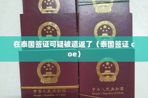 在泰国签证可疑被遣返了（泰国签证 coe）  第1张