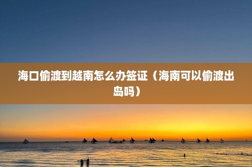 海口偷渡到越南怎么办签证（海南可以偷渡出岛吗）