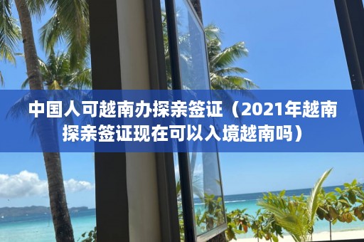 中国人可越南办探亲签证（2021年越南探亲签证现在可以入境越南吗）  第1张