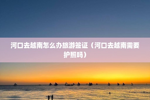 河口去越南怎么办旅游签证（河口去越南需要护照吗）