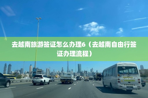 去越南旅游签证怎么办理6（去越南自由行签证办理流程）