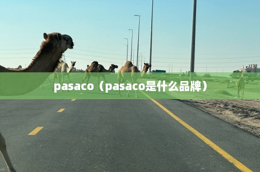 pasaco（pasaco是什么品牌）