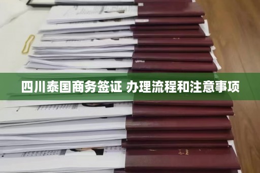 四川泰国商务签证 办理流程和注意事项  第1张