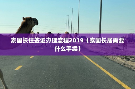 泰国长住签证办理流程2019（泰国长居需要什么手续）