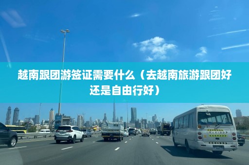 越南跟团游签证需要什么（去越南旅游跟团好还是自由行好）