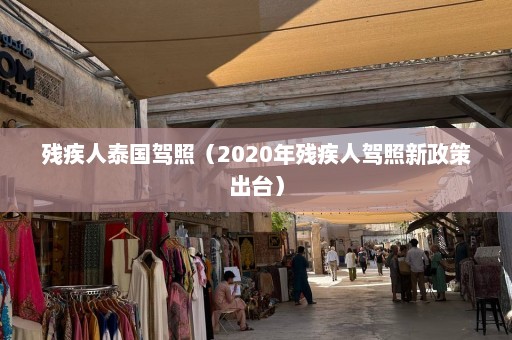 残疾人泰国驾照（2020年残疾人驾照新政策出台）