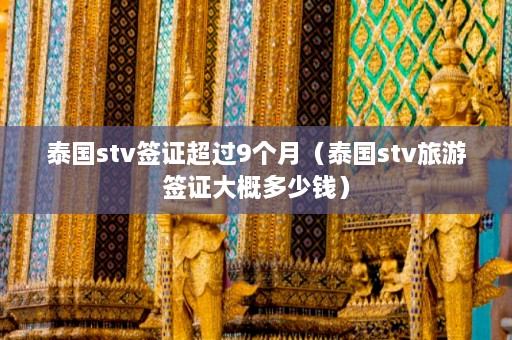 泰国stv签证超过9个月（泰国stv旅游签证大概多少钱）  第1张