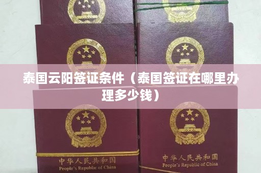 泰国云阳签证条件（泰国签证在哪里办理多少钱）  第1张