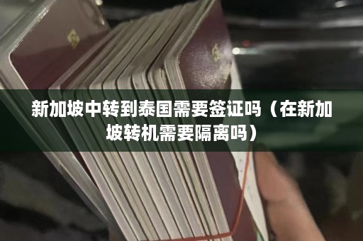 新加坡中转到泰国需要签证吗（在新加坡转机需要隔离吗）  第1张