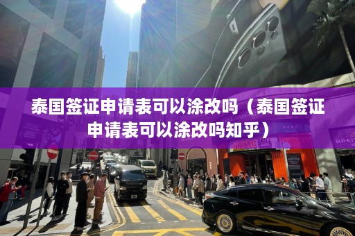 泰国签证申请表可以涂改吗（泰国签证申请表可以涂改吗知乎）  第1张