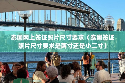 泰国网上签证照片尺寸要求（泰国签证照片尺寸要求是两寸还是小二寸）