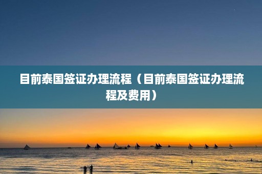 目前泰国签证办理流程（目前泰国签证办理流程及费用）