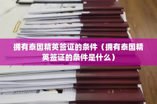 拥有泰国精英签证的条件（拥有泰国精英签证的条件是什么）