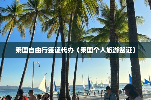 泰国自由行签证代办（泰国个人旅游签证）