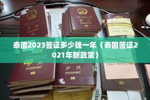 泰国2023签证多少钱一年（泰国签证2021年新政策）